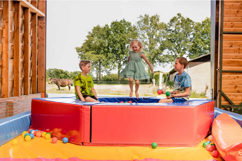 Fien en Teun camping de Regge Vallei 