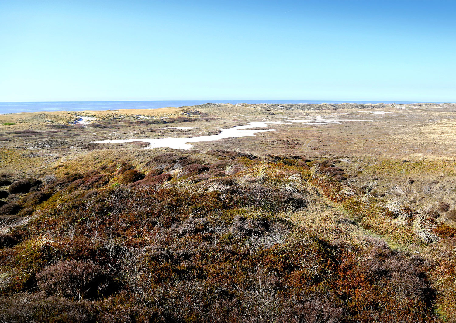 Fietsen Kamperen Callantsoog Noord Hollands Duinreservaat