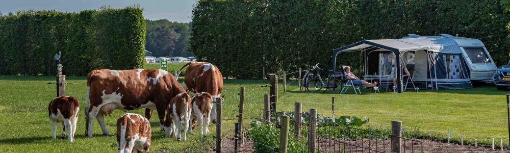 Kamperen met het gezin SVR Donateur