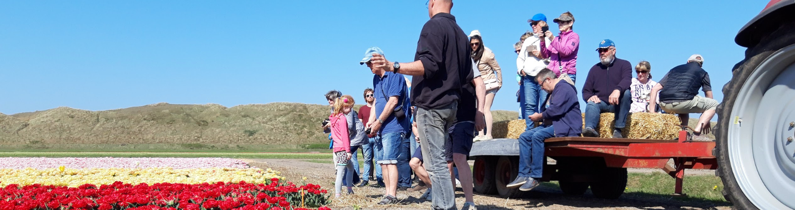 Kleinschalige camping tussen de bollenvelden