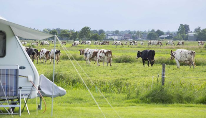 boerencamping utrecht boerencamping utrechtse heuvelrug kamperen bij de boer utrecht kleine camping utrecht natuurcamping utrecht mini camping utrecht