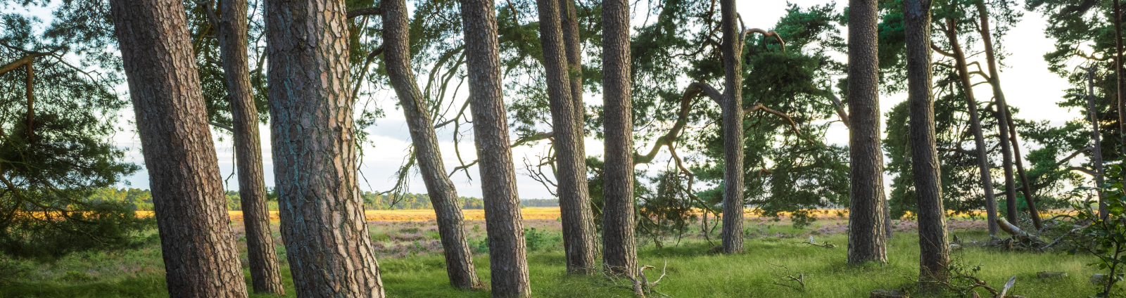 Kamperen in Nederland tijdens de voorjaarsvakantie