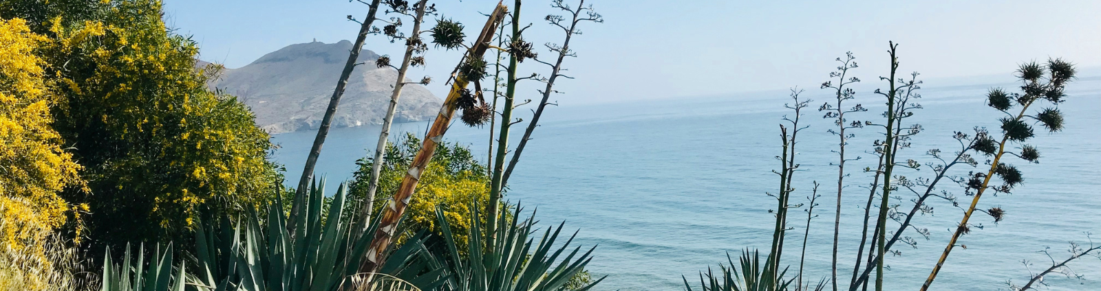 Kamperen in het buitenland tijdens de voorjaarsvakantie