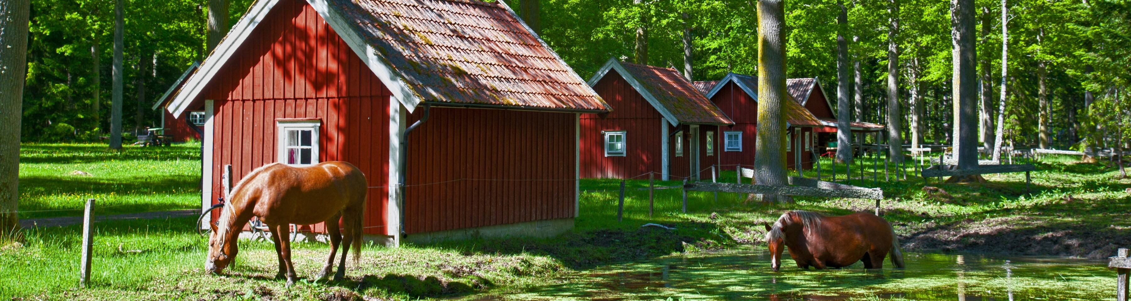 Natuurcamping in Zweden