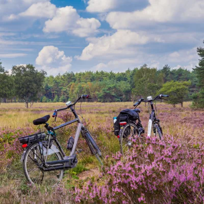 Fietsen vanaf de camping