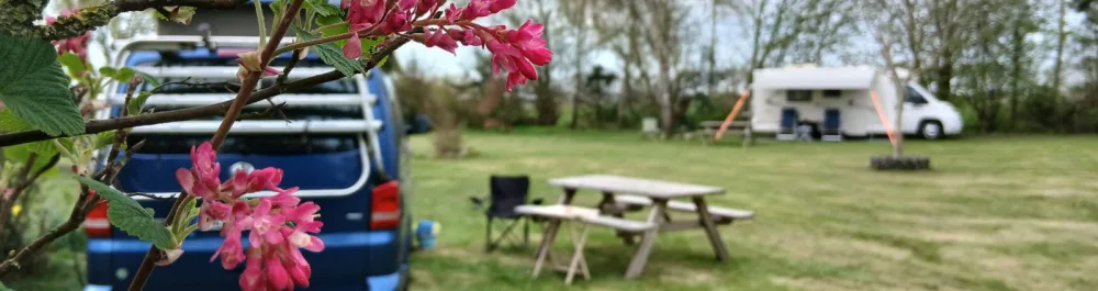 Kamperen in het groen op een SVR camping