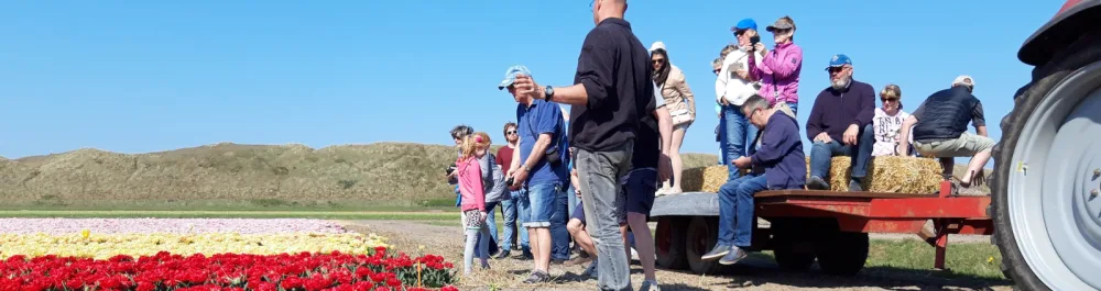 Kleinschalige camping tussen de bollenvelden