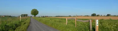 Afbeelding item