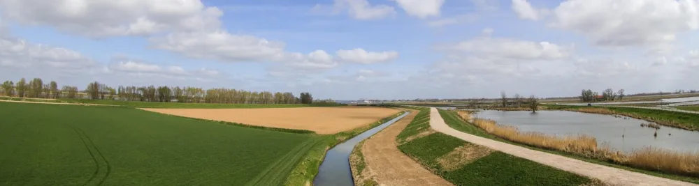 Fietsen in de Biesbosch