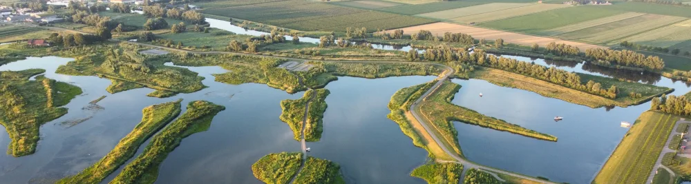 Fietsen in de Biesbosch