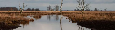 Afbeelding item