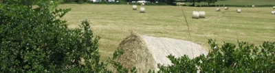 Afbeelding item